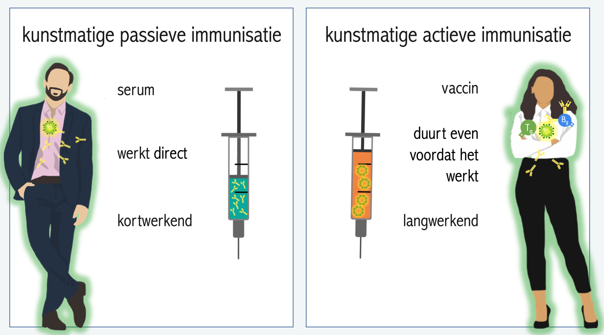 Wat Is Het Verschil Tussen Natuurlijke Immuniteit En Kunstmatige Immuniteit