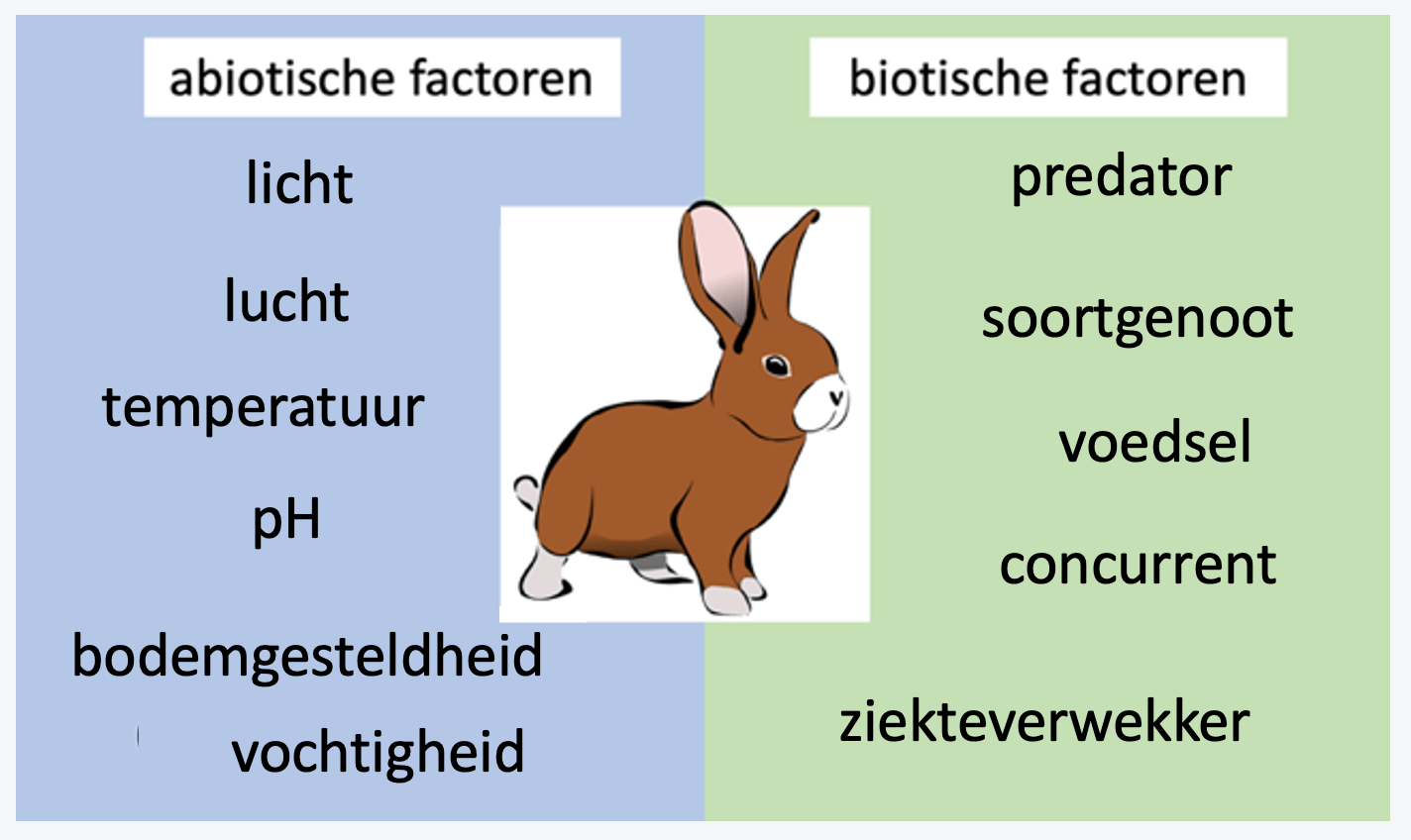 Ecosystemen – Biojuf