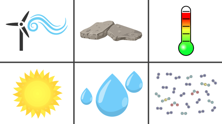 Ecosystemen – Biojuf
