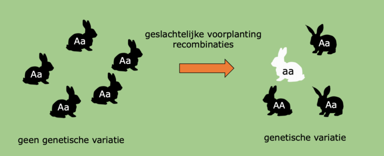 Natuurlijke selectie – Biojuf