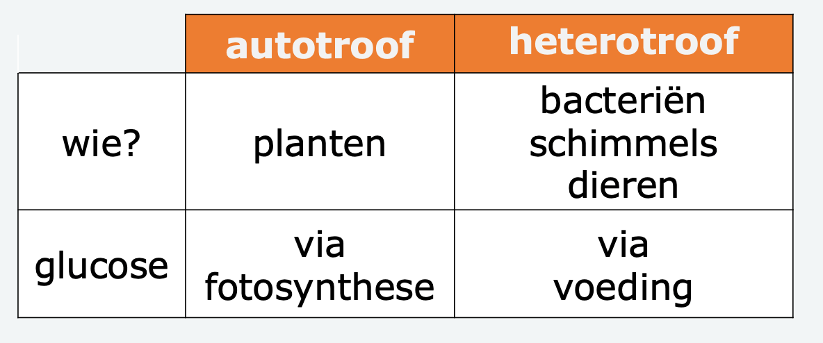 Autotroof en heterotroof – Biojuf