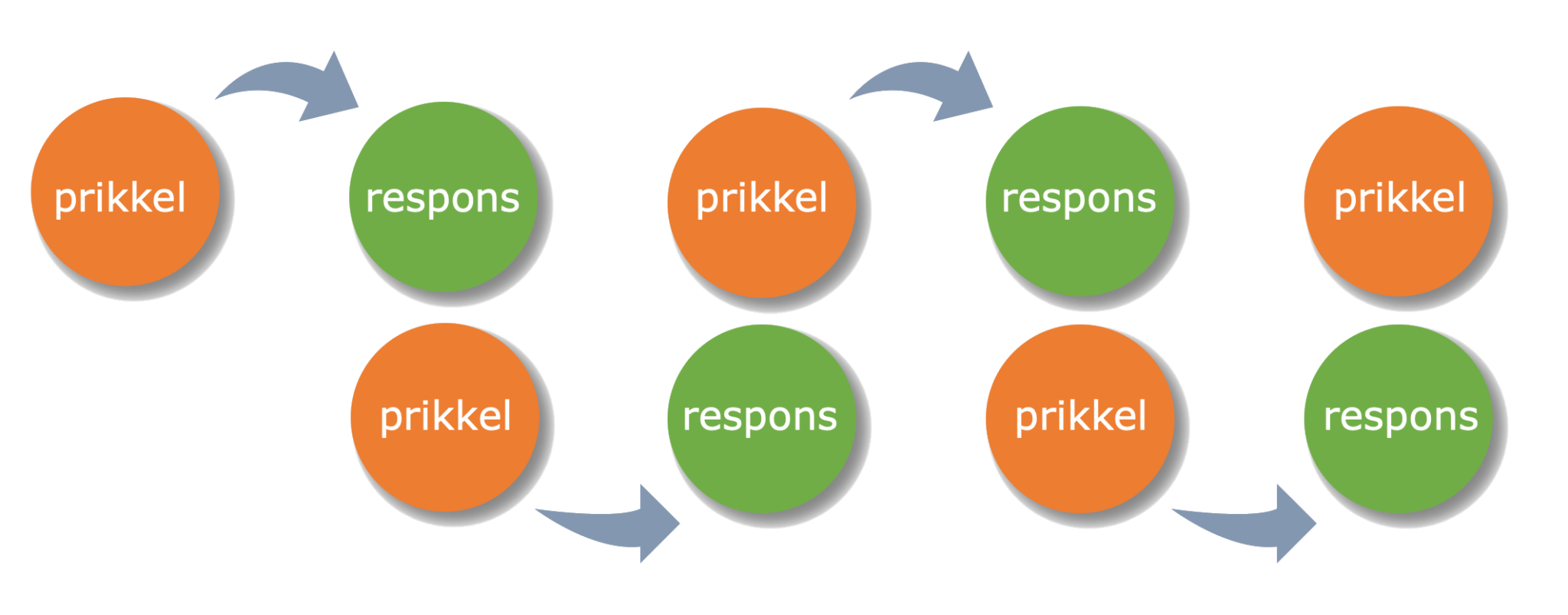 Prikkel respons – Biojuf